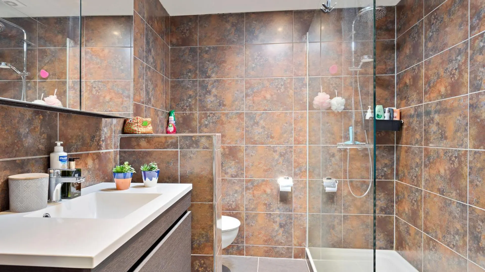 Apartamento Touristflat Dewulf Gante 0*,